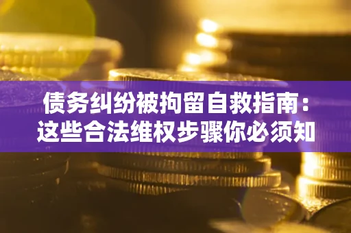 济南债务纠纷被拘留自救指南：这些合法维权步骤你必须知道！