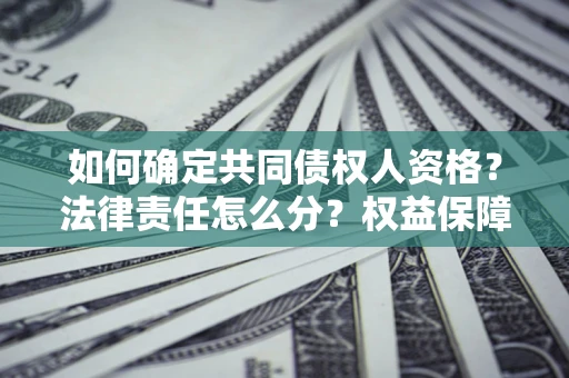 济南如何确定共同债权人资格？法律责任怎么分？权益保障技巧揭秘！